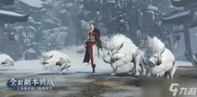王则昭：我的恩师张伯驹