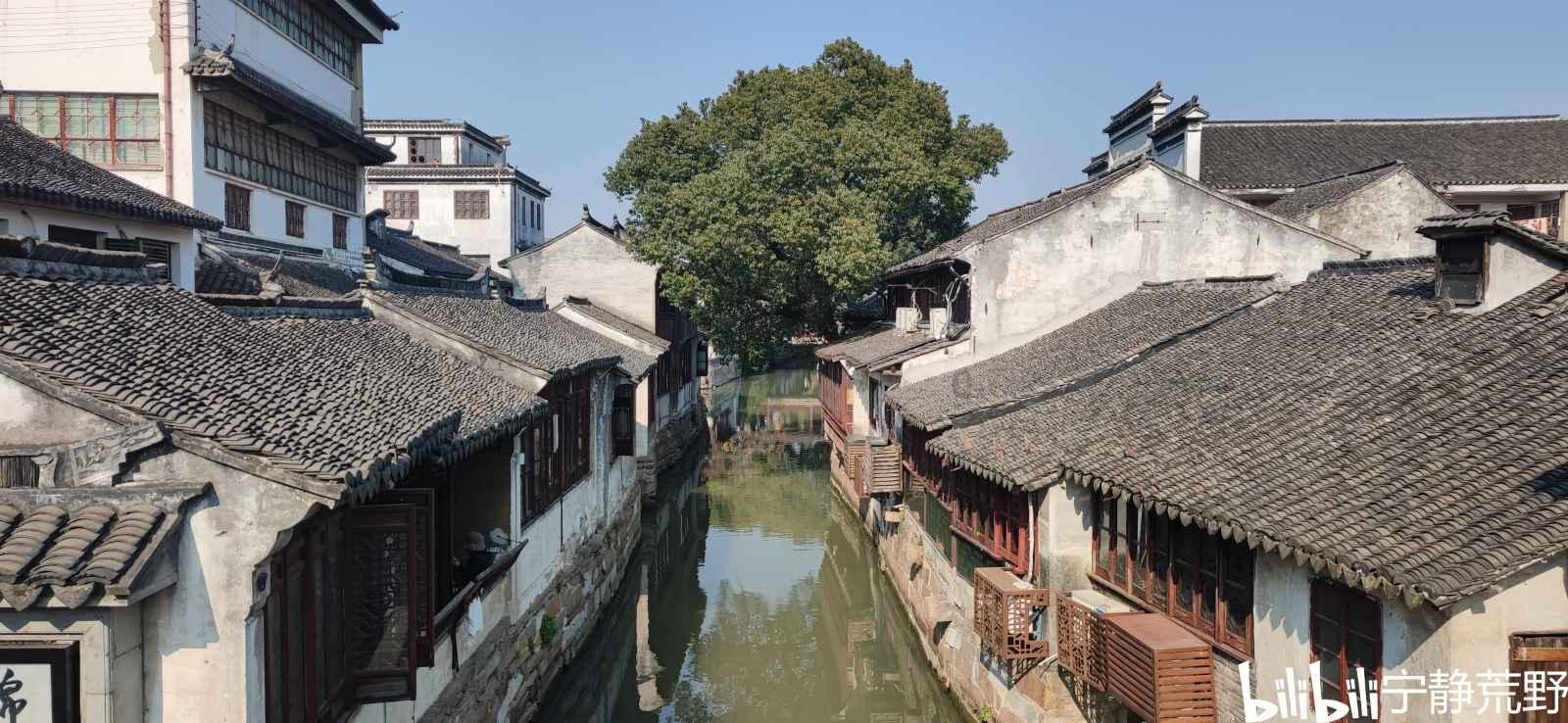汽车行车要加油，在加油的时候如何选择合适的油号？游戏画面